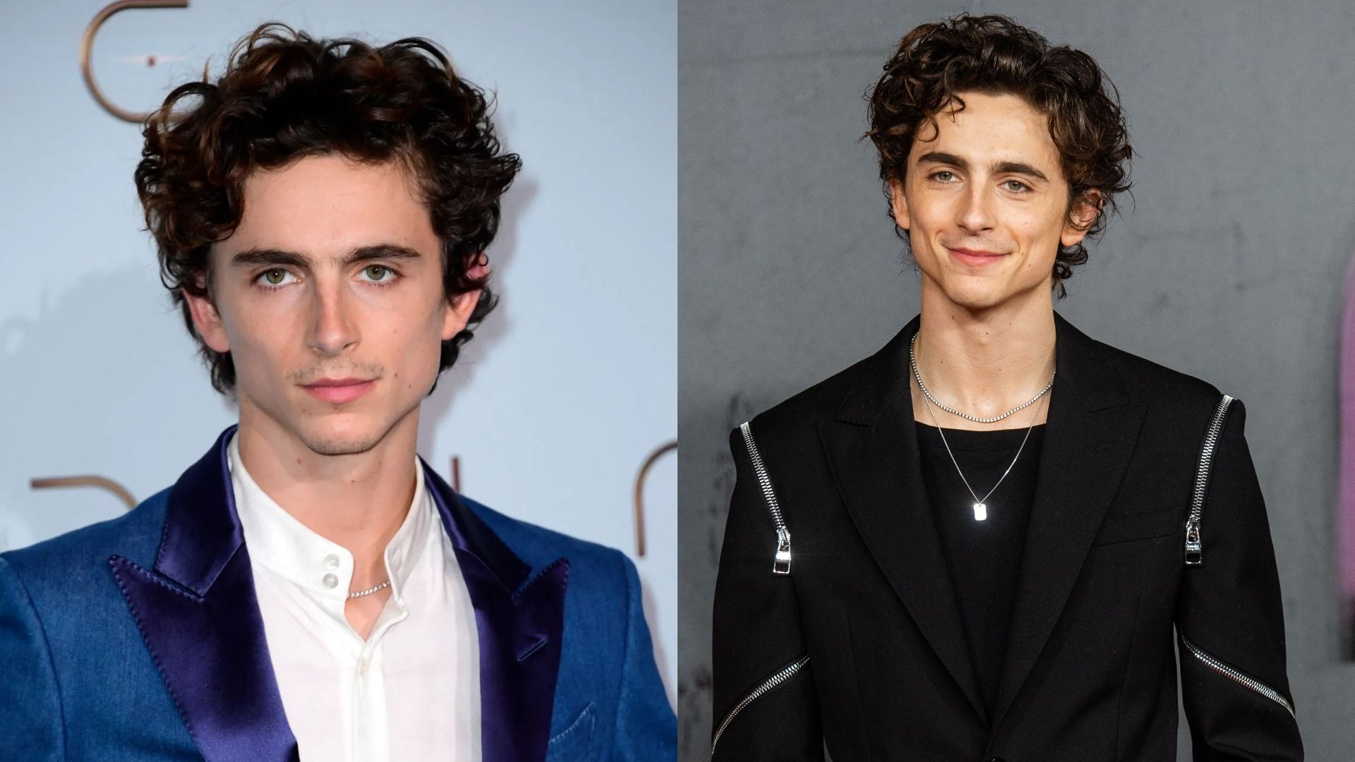 How Tall Is Timothée Chalamet